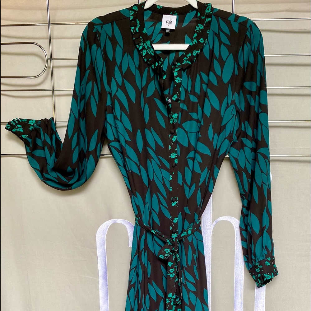 Cabi Autumn Dress and slip